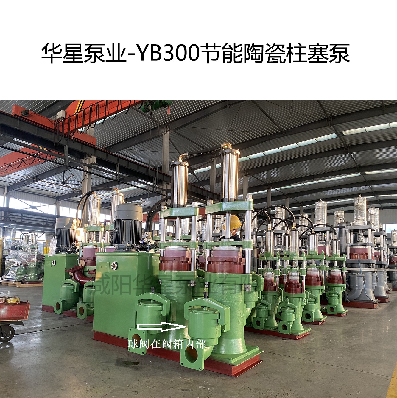 華星泵業(yè)-YB300節(jié)能陶瓷柱塞泵-04